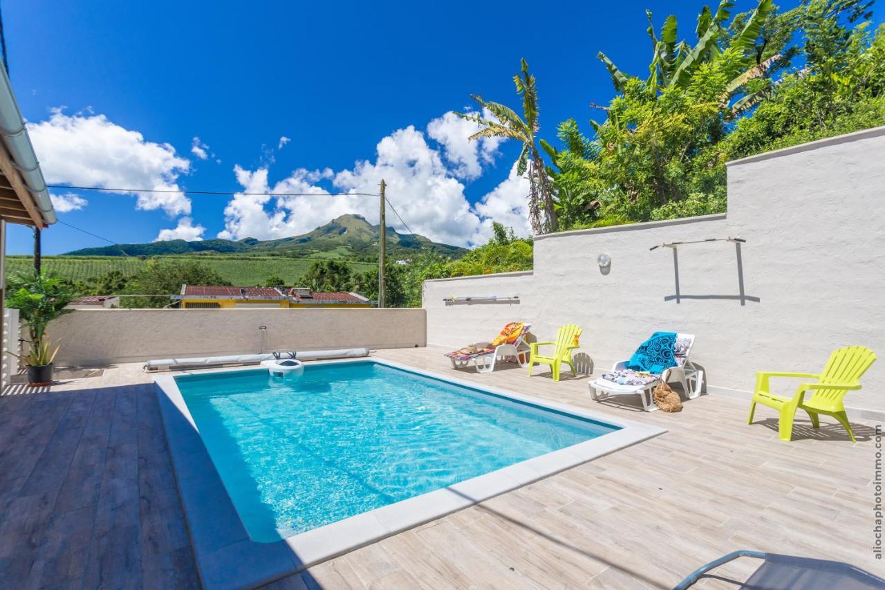 Апартаменты Heliconia - Appt Avec Piscine Partagee Saint-Pierre Экстерьер фото